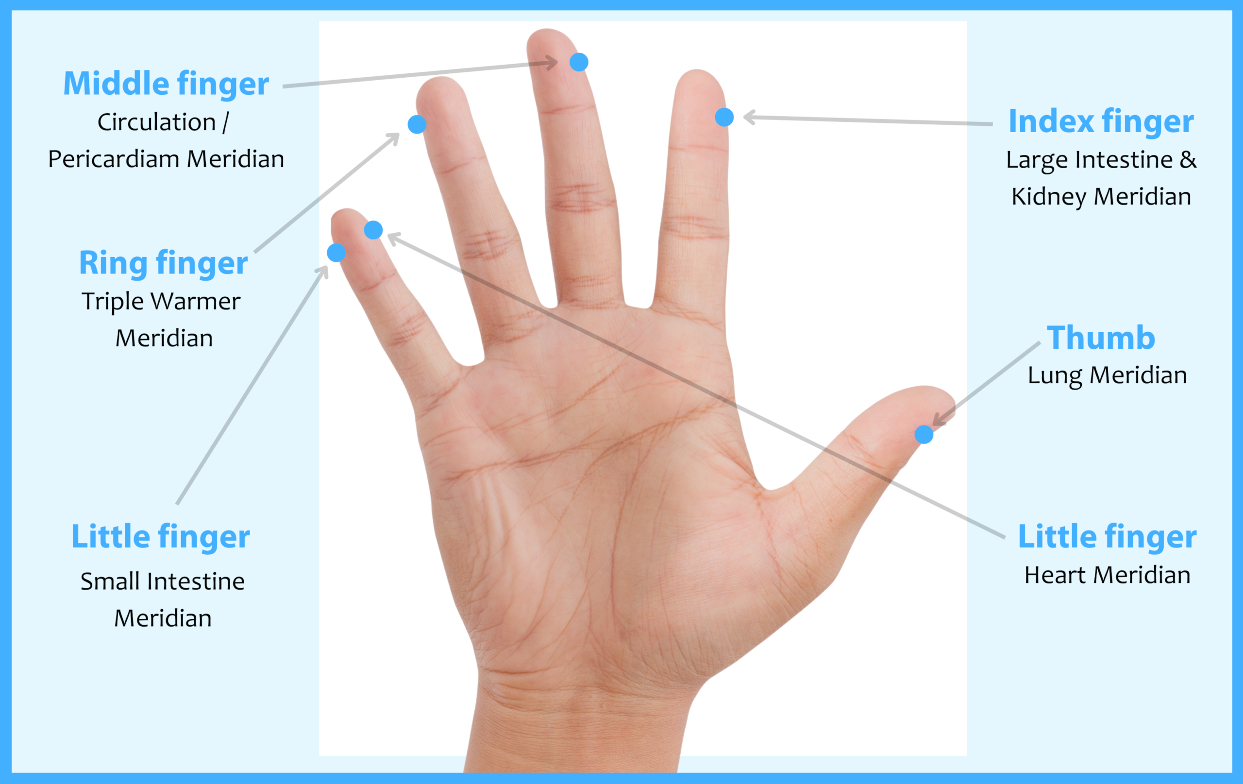 EFT Tapping Finger Points and Associated Meridians