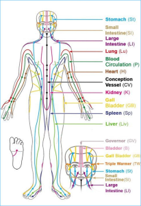 Traditional Chinese Medicine Meridians