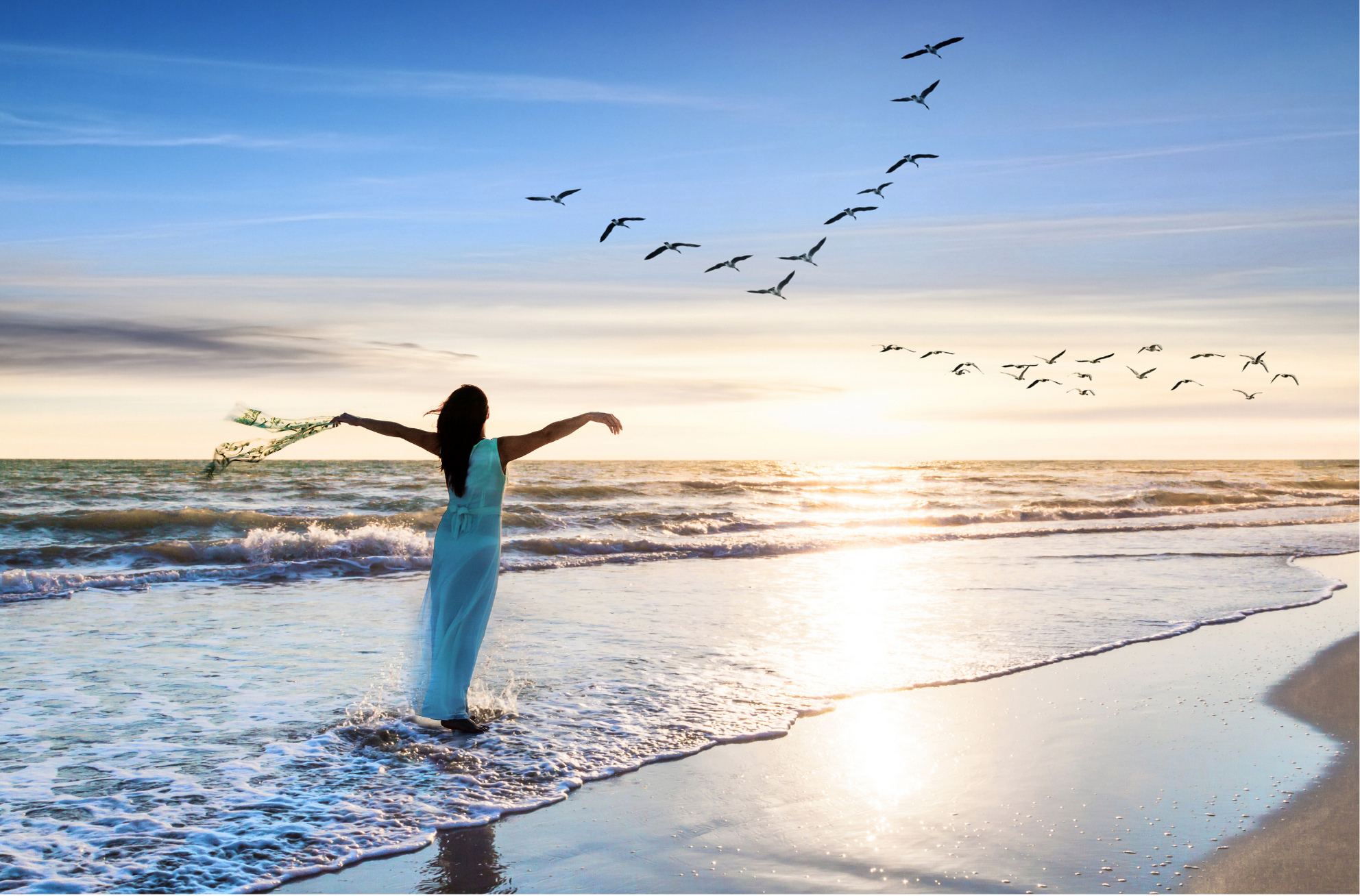 freedom